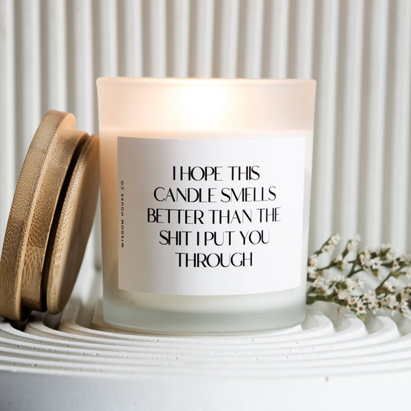 Smells Better Than the Shit I Put You Through, Mom Candle, Mothers Day Gift, Mother Gift, Gift from Son, Gift from Daughter, Mother in Law