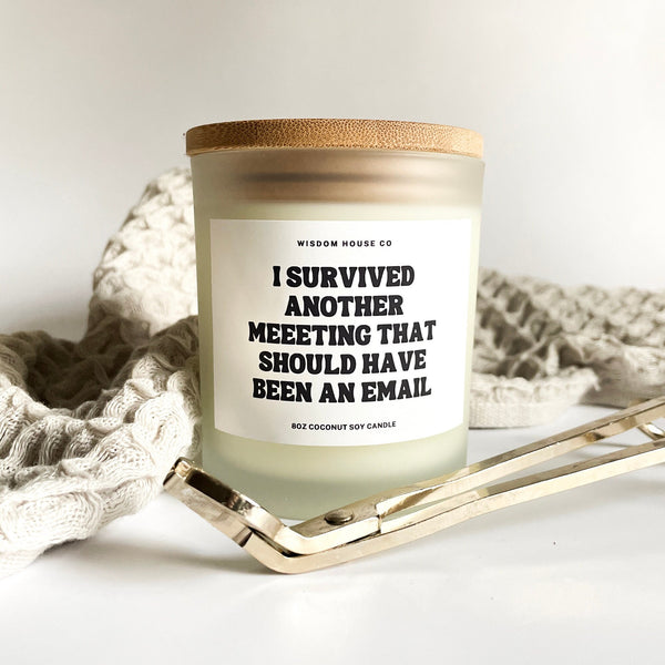 I Survived Another Meeting that Should Have Been an Email, Boss Gift, Gift for Coworker, Funny Candle, Gift for Him, Boss Day, Office Gifts